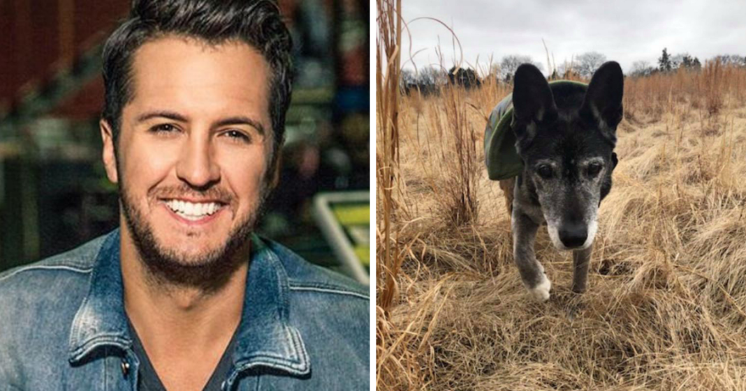 Update: 18-year-old dog adopted by country music star Luke Bryan has passed away