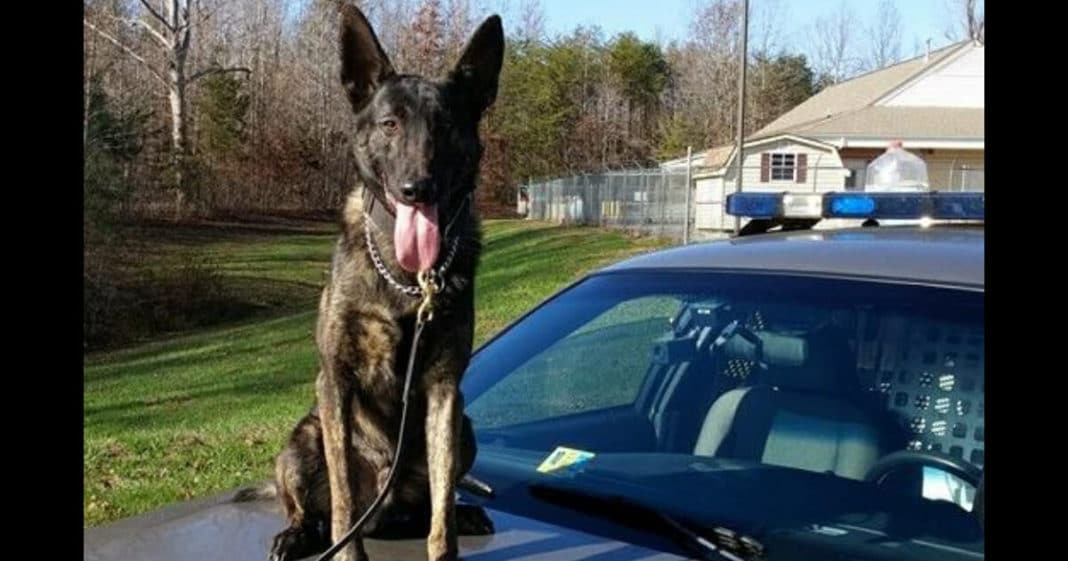 Frantic parents beg for help in search for their 2 missing children, K-9 Bane finds them in only 15 minutes