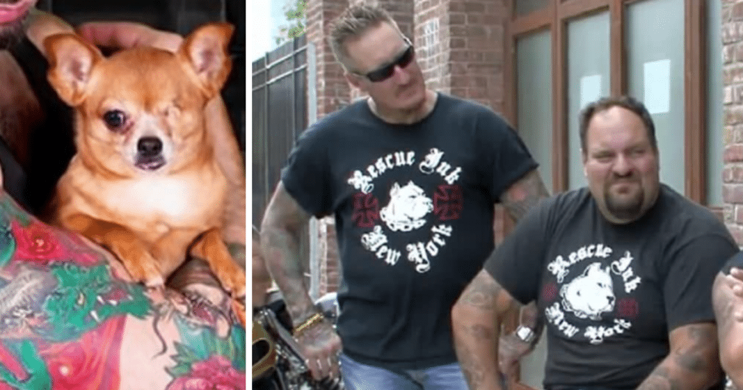 Tough biker gang takes stand against abusive pet owners and decides to confront them