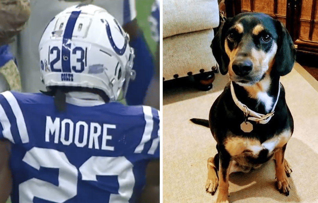 Rescue dog helped save depressed young man’s life. Then an NFL player helped rescue them both.