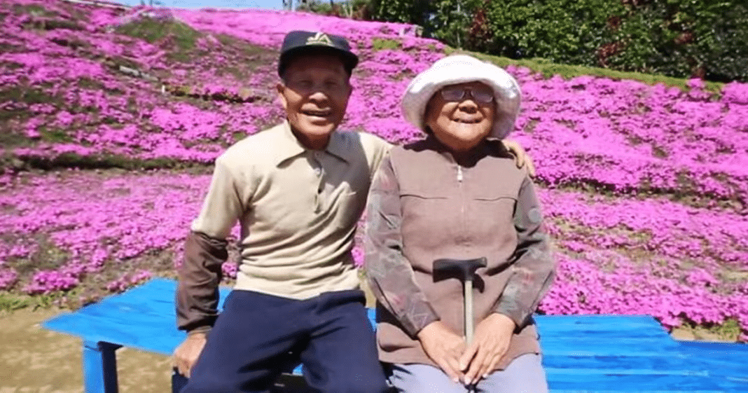 Loving husband plants thousands of flowers for his blind wife to smell