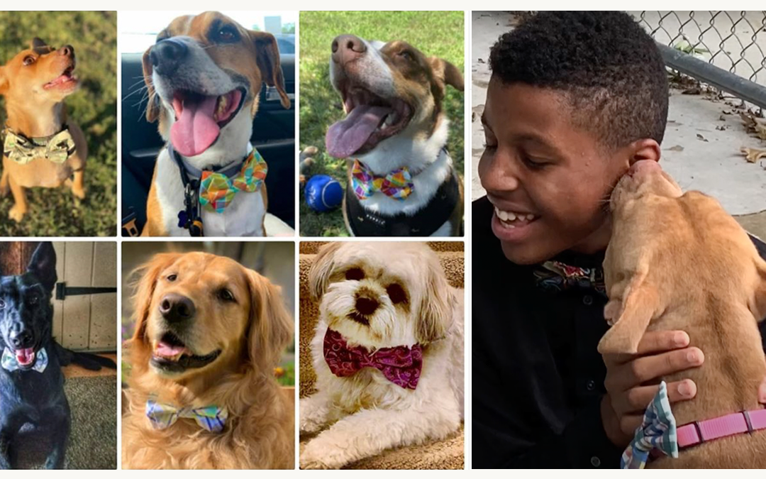 Teen’s Bow Ties are Helping Pets Find Forever Homes Nationwide